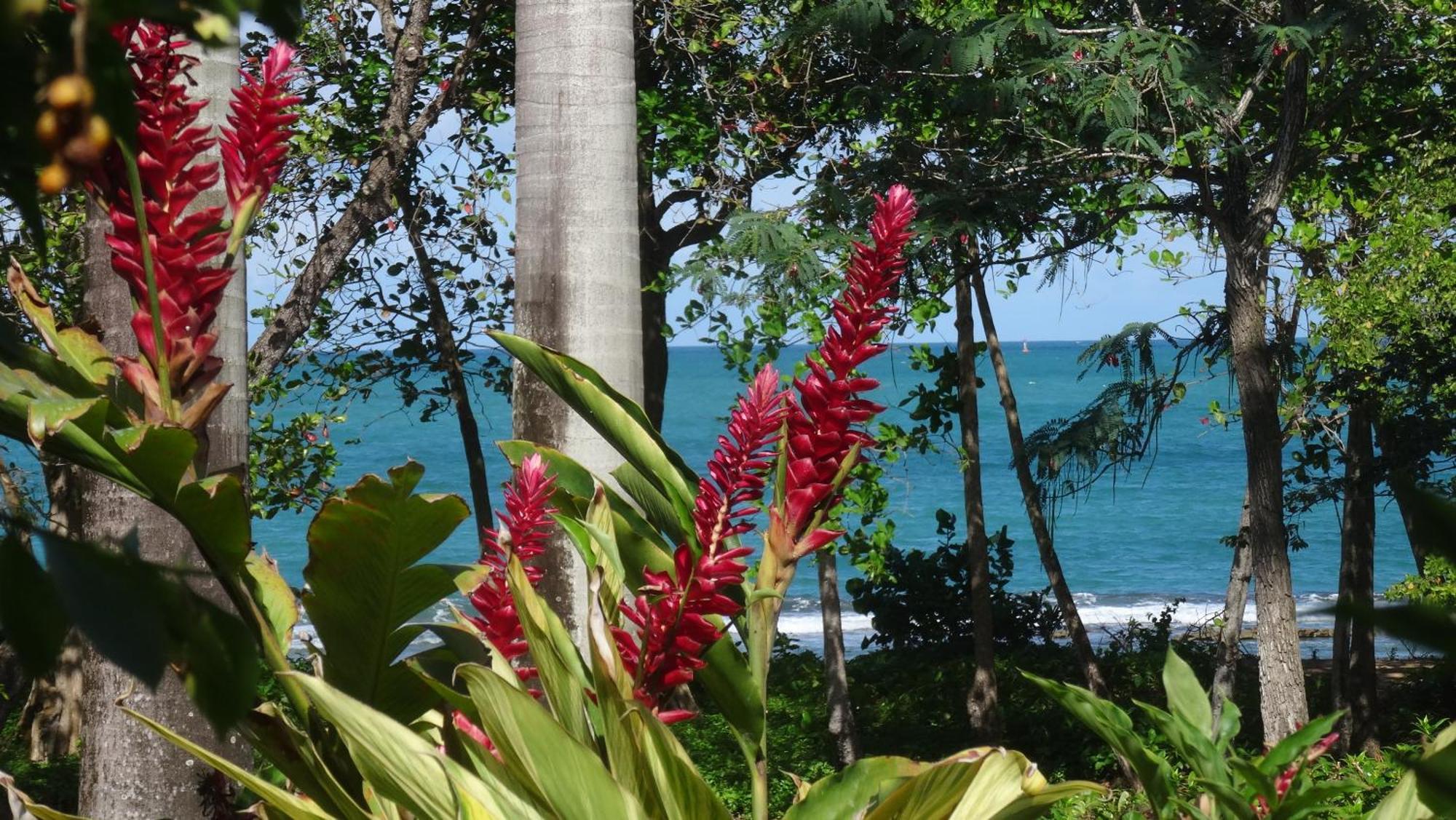Holidays Guadeloupe Plessis-Nogent Zimmer foto